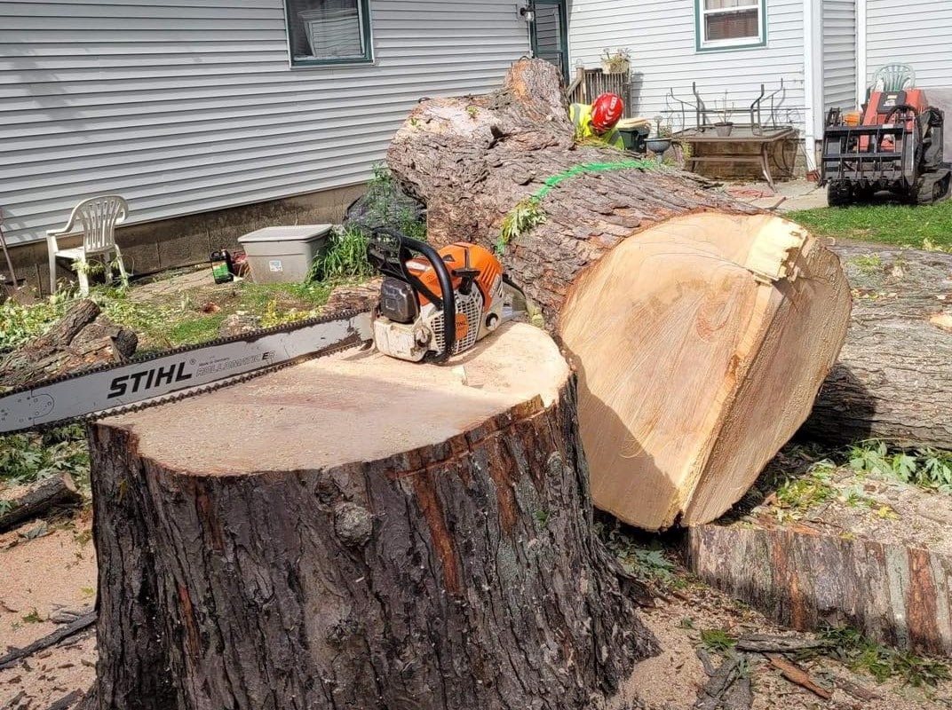 Tree Trimming Company in Kenosha, Kenosha tree trimming company, best tree trimming company in Kenosha