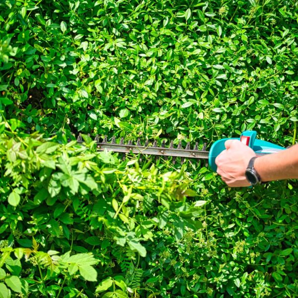Proven Tree Trimming in Kenosha, tree pruning services Kenosha, arborist tree care Kenosha